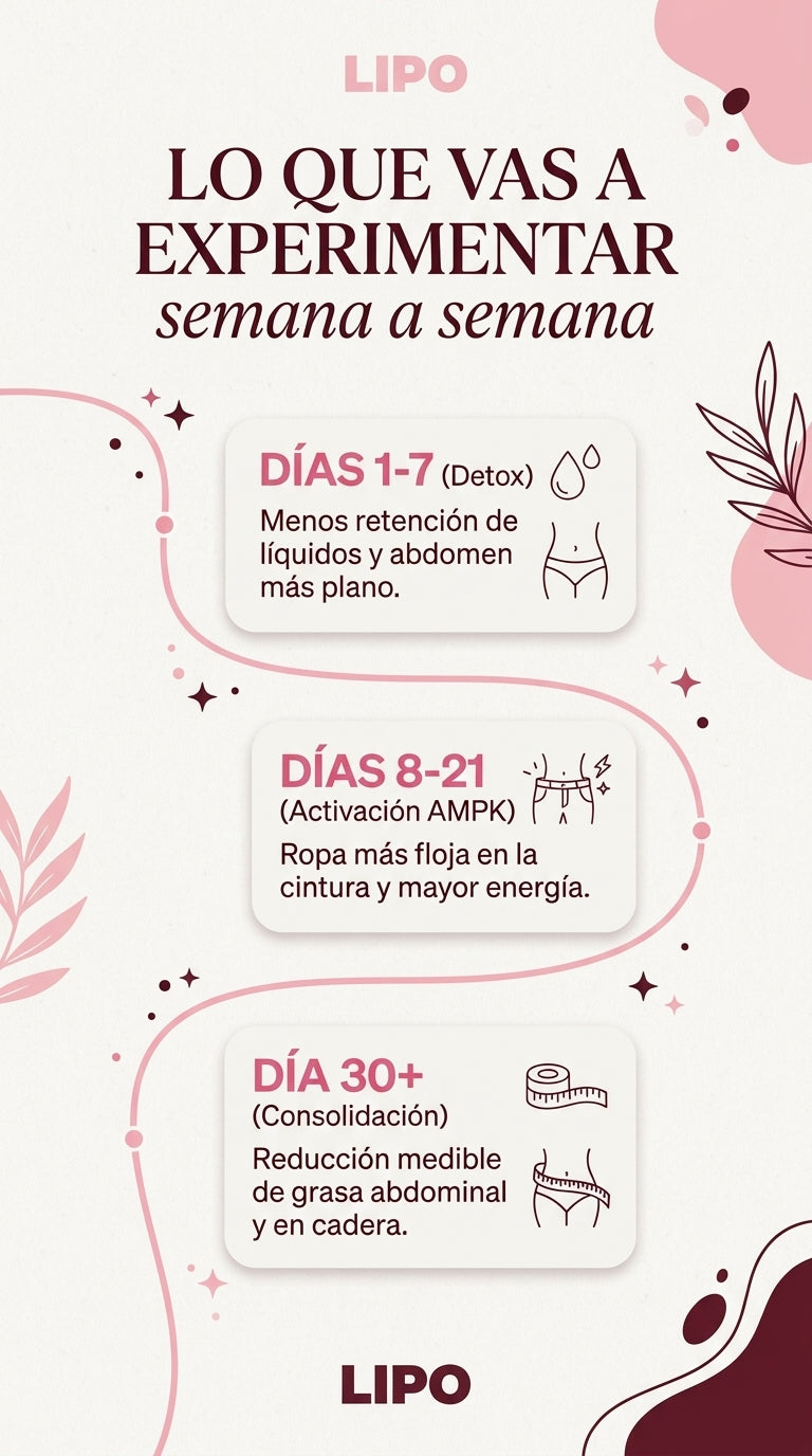 LIPO HB® - Activador Metabólico Natural